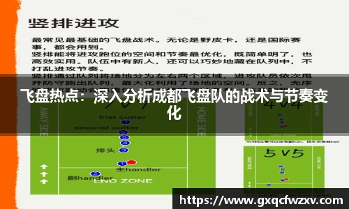 飞盘热点：深入分析成都飞盘队的战术与节奏变化